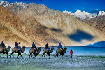 Taxi Service for Ladakh